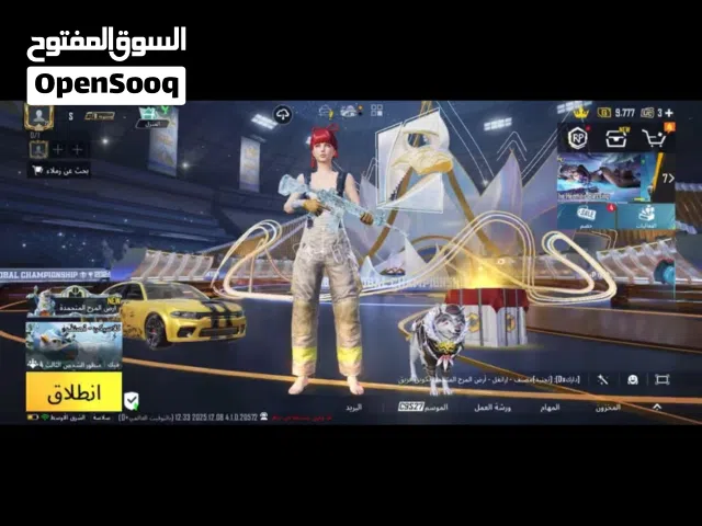 Pubg Accounts and Characters for Sale in Sharjah