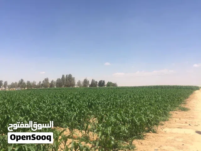 مطلوب سياره للبدل بقطع اراضي من 4 دونمات ولغاية 100 دونم حسب قيمة السياره