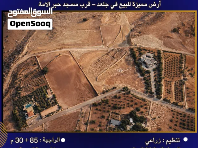 Farm Land for Sale in Salt Jala'd