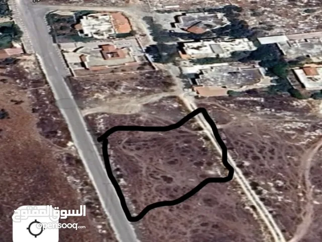 Residential Land for Sale in Jenin AlJabriaat