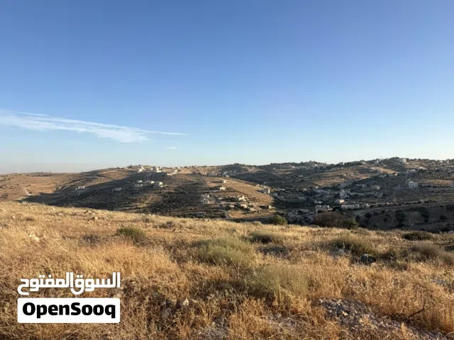 Residential Land for Sale in Zarqa Birayn