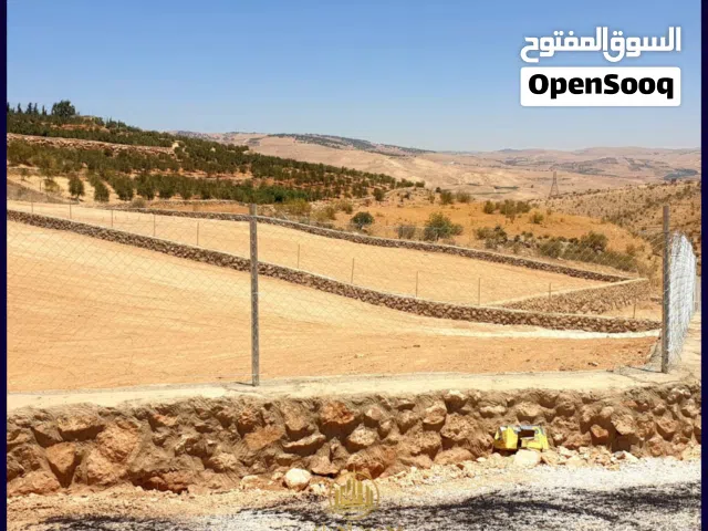 Farm Land for Sale in Zarqa Al-Alouk