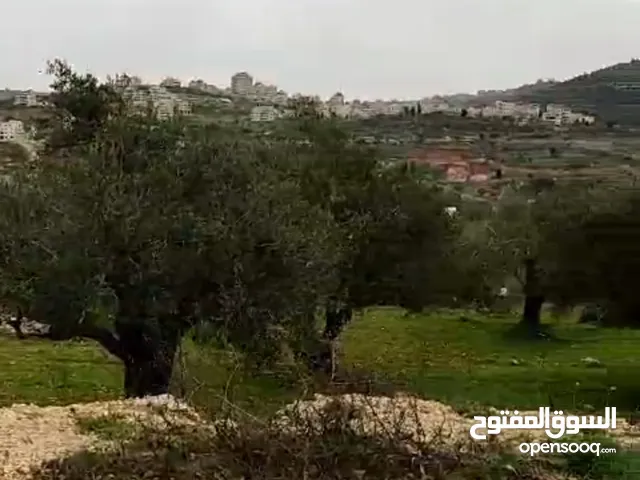Residential Land for Sale in Ramallah and Al-Bireh Ein Arik