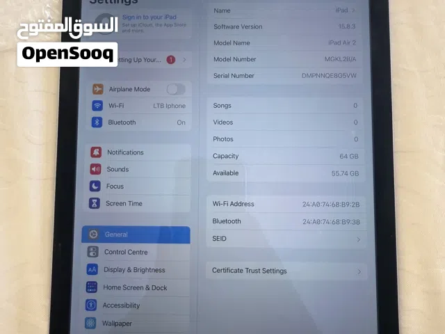IPad Air 2 64GB excellent