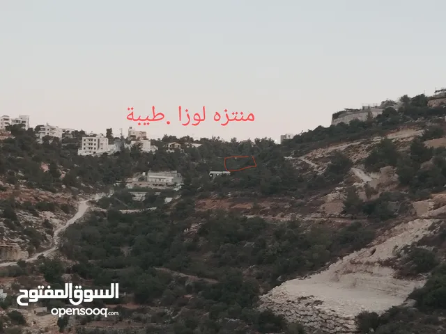 أرض مطلة وكاشفة في لوزا