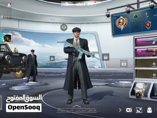 Pubg Accounts and Characters for Sale in Al Rayyan