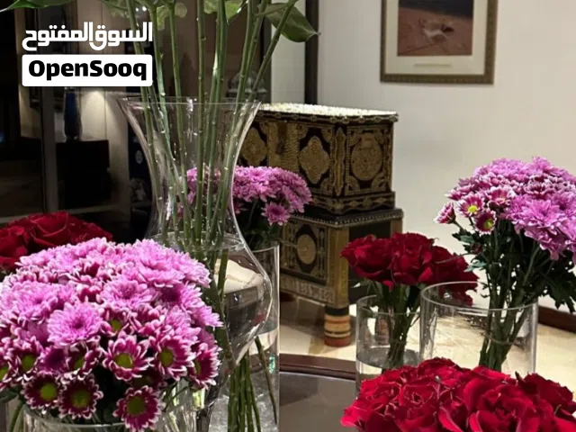 مطلوب شريك عماني