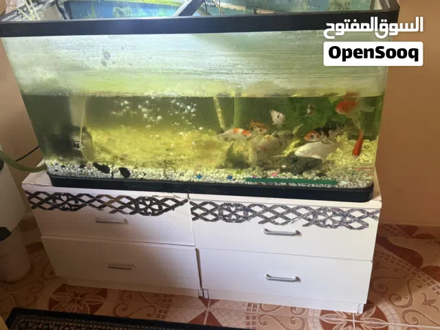 للبيع حوض اسماك