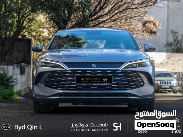 2024, بي واي دي, كين