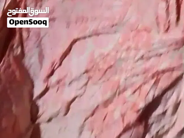 سلام عليكم عدي ديباجات باله فرشات كاع وجوه مخاد نضاف