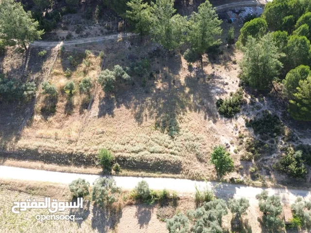 İnşaat ruhsatı alınmış arsa. İkiz villa projeli. İlgilenen alıcılara proje mail le iletilebilir