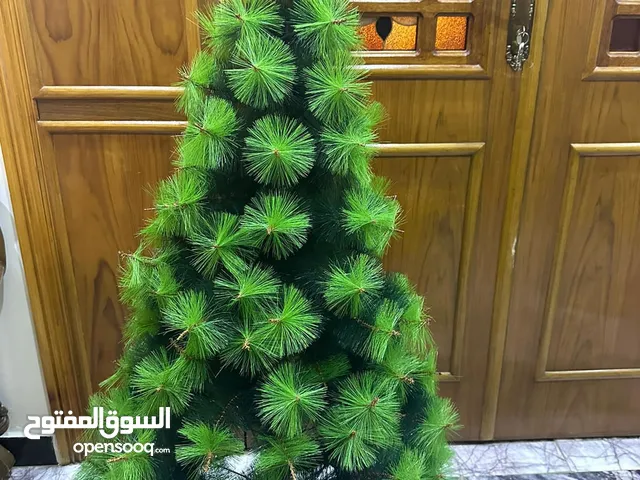 شجرةميلاد للبيع