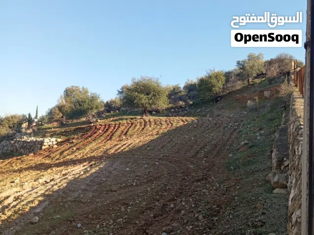 Mixed Use Land for Sale in Salt Al Subeihi