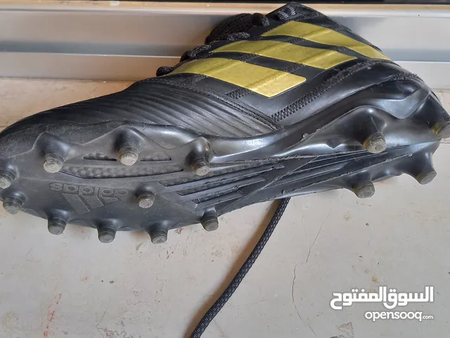 حذاء اديداس بسعر مغري