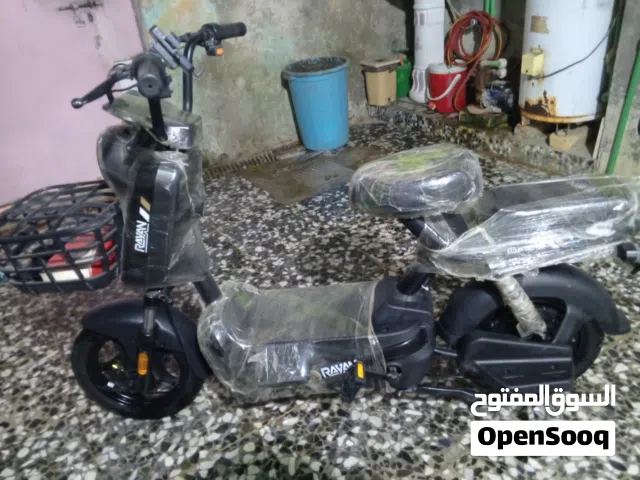 2024 اخرى اخرى