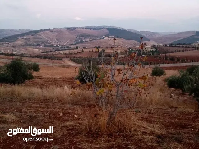 Mixed Use Land for Sale in Jerash Tal Al-Rumman