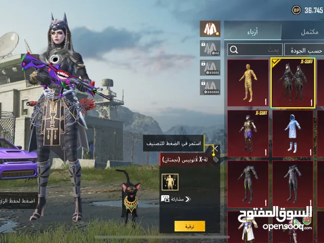 Pubg Accounts and Characters for Sale in Tabuk