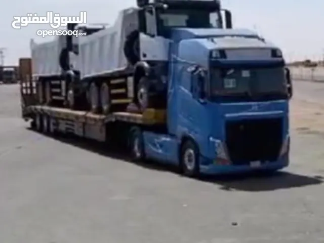 ليسى للبيع للشحن فقط