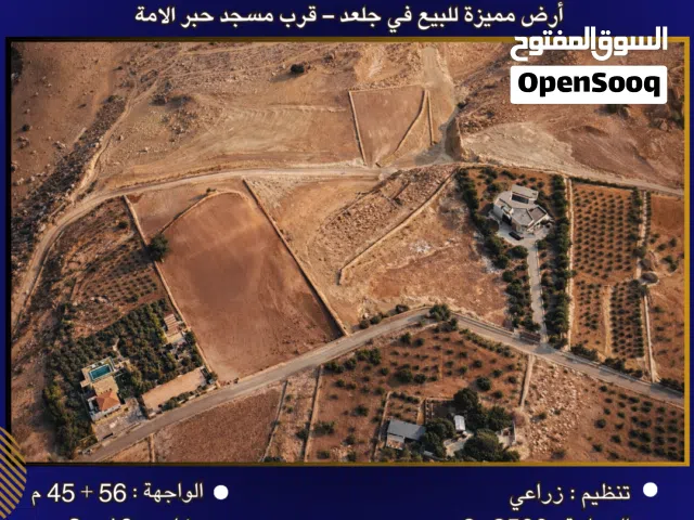 Farm Land for Sale in Salt Jala'd