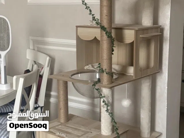 شجرة قطط كرسي استرخاء