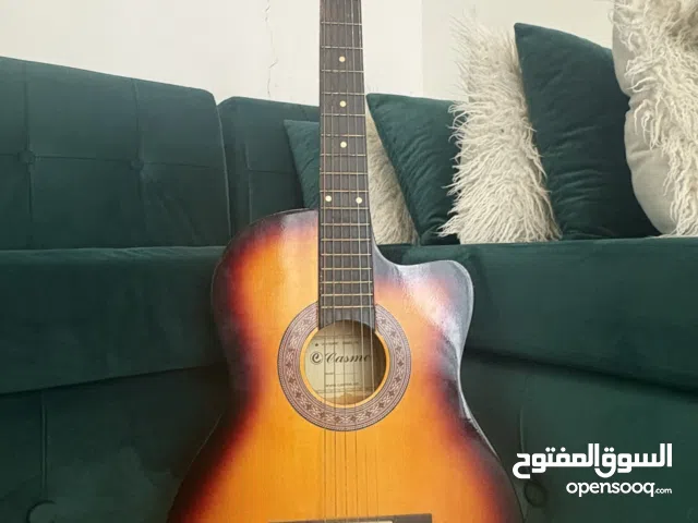 acoustic steel string guitar