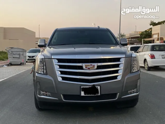 Used Cadillac Escalade in Dubai