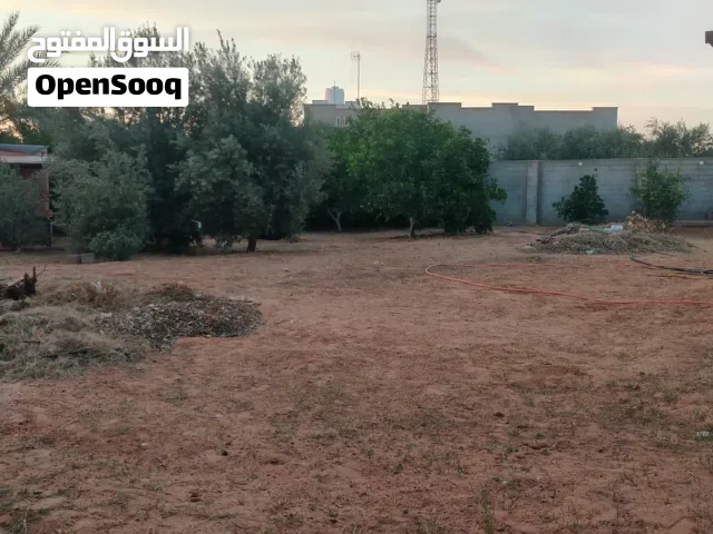 أرض قريب من القطران الطرش في قصر بن غشير