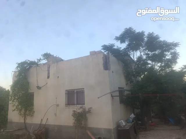 Farm Land for Sale in Jenin Qabatiya