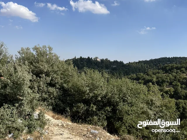 ارض 800 متر للبيع في دابوق بموقع مميز واطلاله رائعه