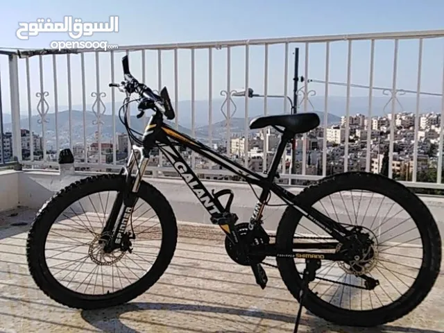 بسكليت قلنت الأصلي الياباني جنط جنط 24