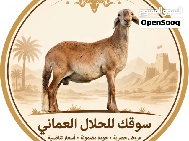 مجرد ناشر تابع القناة على الواتسب أعرض حلال طيب بإذن الله تعالى