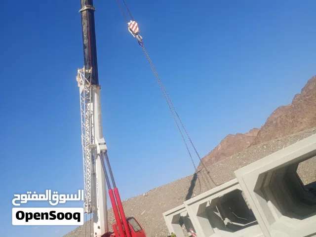 Crane for Rent Monthly  daily weekly  25 ton 50 ton  100 ton  220 ton