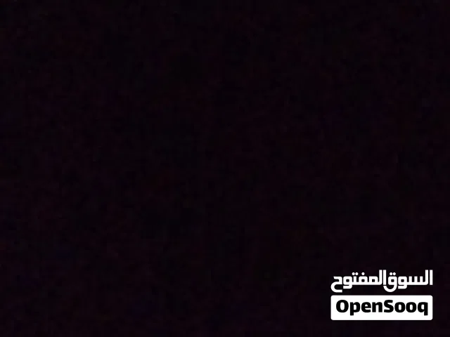 مطلوب أيفون 12