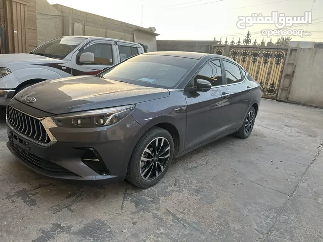 جاك صيني (بدون رقم) تو كلر لونين 2023