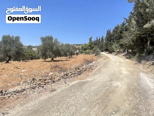 Residential Land for Sale in Ajloun A'anjara