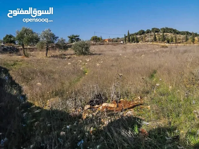Farm Land for Sale in Ajloun Other