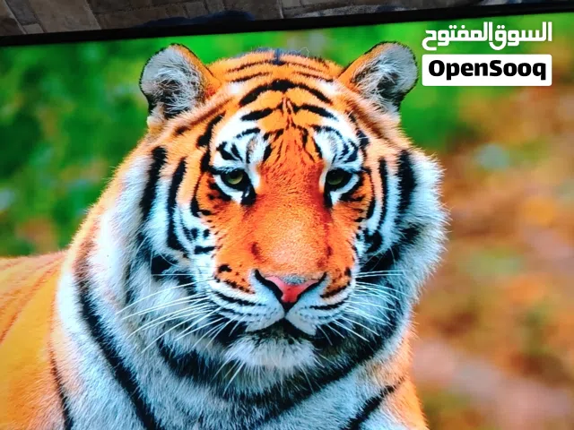 شاشه جنرال فيو 43 سمارت