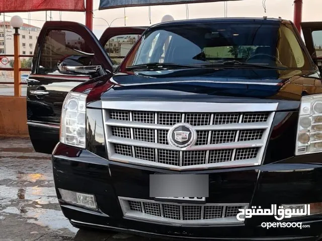Used Cadillac Escalade in Amman
