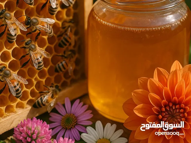 عسل حر طبيعي زنداز الدغموس الحارة الجرجير أزير