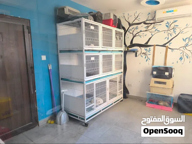 عيادة بيطرية