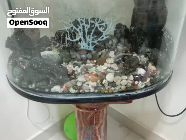 حوض سمك مستعمل استعمال خفيف