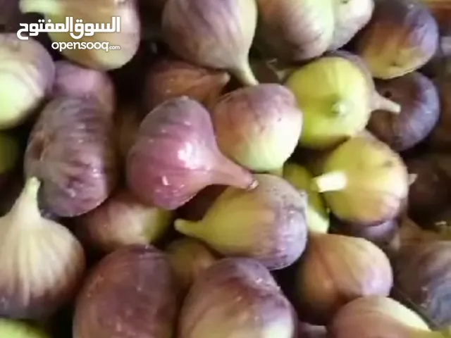 متوفر تين طيب للبيع بالكامل 100 صندوق فلين