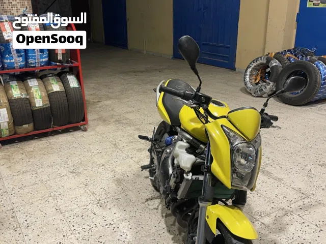 2010 كاواساكي أخرى