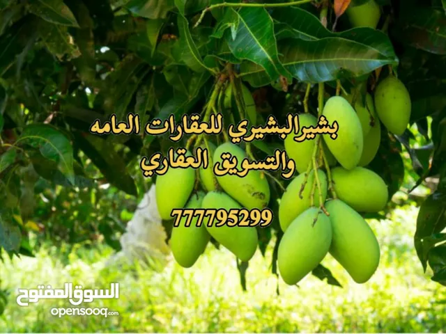 2 Bedrooms Farms for Sale in Al Hudaydah Other