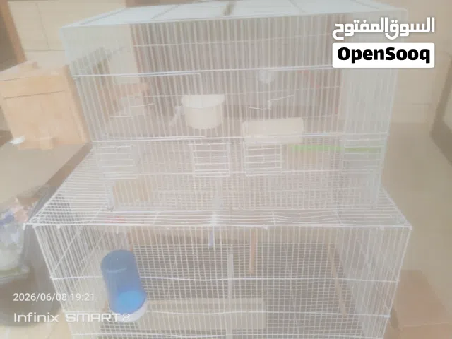 أقفاص عصافير مستخدمه لاكن بصحه جيده للبيع