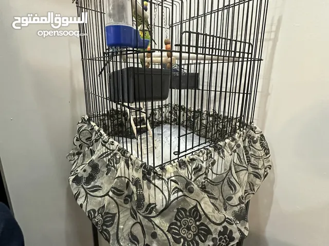 Four Birds for sale