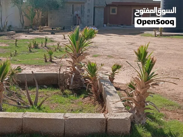 5 Bedrooms Farms for Sale in Benghazi Qawarsheh