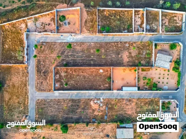 قطعة ارض في بير العالم تاجوراء