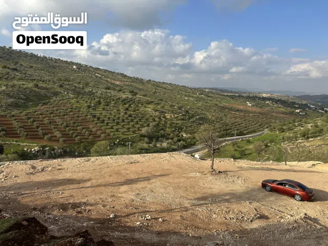 ارض مميزة جداً بيرين ( 3400 ) متر مجهزة للبناء إطلالة جميلة للسكن / مزرعة فرصة استثمارية بسعر مميز