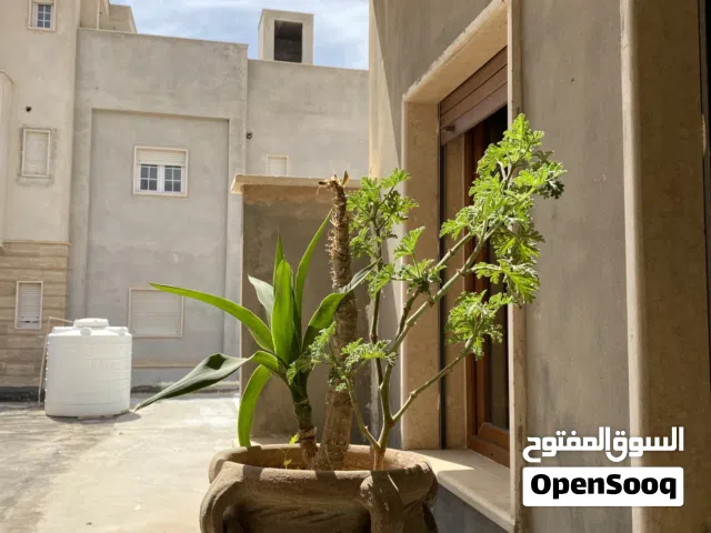 أستوديو للإيجار بحاله جيدة موقع مناسب لجميع الخدمات ،